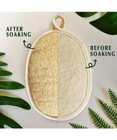 Natural Loofah Sponge - Eco-Friendly Exfoliating Body Scrubber (2 Pack) | Biodegradable Shower Luffa for Men & Women - Buy Online on GoSupps.com