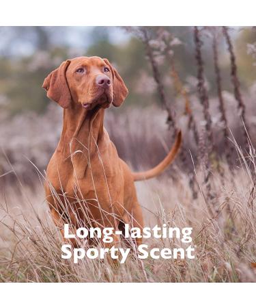 SPA Lavish Shampoo for Pets 16 oz - Made in USA - Soap Free - Luxury Bathing - For Him | TropiClean - Buy Online on GoSupps.com