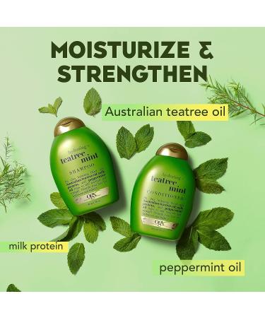 OGX Hydrating Tea Tree Mint Shampoo 25.4 fl oz - Nourishing Scalp Shampoo with Peppermint Oil & Milk Proteins - Paraben & Sulfate Free - Sweet Peppermint & Iced Vanilla - Buy Online on GoSupps.com