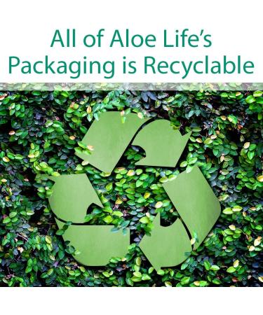 Aloe Life Whole Leaf Aloe Vera Juice Concentrate 32 oz | Organic Cherry Berry Flavor | Supports Digestion & Energy | Antioxidant Rich | Gluten-Free - Buy Online on GoSupps.com