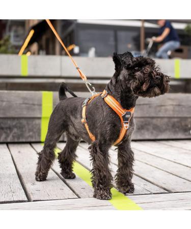 DOG Copenhagen Comfort Walk Air Harness - Size L, Black | Breathable and Durable - Buy Online on GoSupps.com
