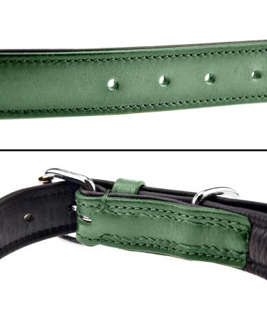 Sniffing Fans Leather Dog Collar - Padded and Robust for Large Medium & Small Dogs (S - 24-30cm Green) - International Shipping - Buy Online on GoSupps.com