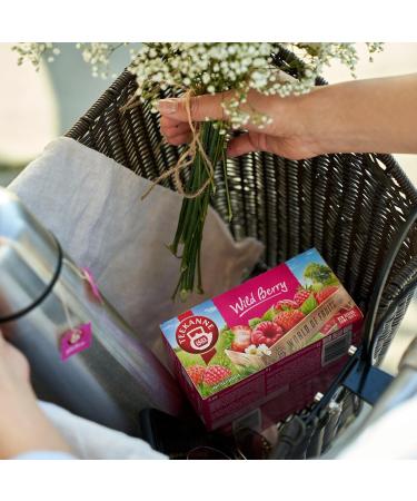DEKOND TEEKANNE WILD BERRY- Wild fruit tea with wild berries - Strawberry and raspberry aroma - 6 x 20 - Buy Online on GoSupps.com