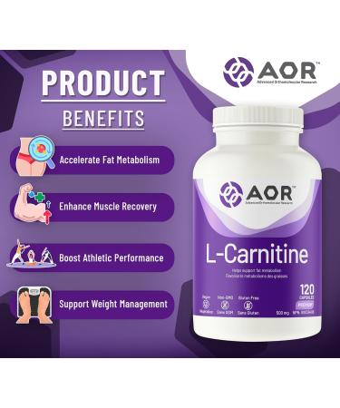 AOR - L-Carnitine 500mg 120 Capsules Pure L-Carnitine Tartrate Supports Energy Metabolism Muscle Recovery & Athletic Performance Promotes Fitness Goals L-Carnitine Capsules for Active Lifestyle - Buy Online on GoSupps.com