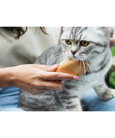 Lucybalu Cat Brush for Short & Long Hair | Natural Bristles & Wooden Handle | Best Cat Grooming Tool | Fellbrush & Katzenkamm - Buy Online on GoSupps.com