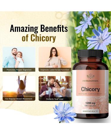 HERBAMAMA Organic Chicory Root Supplement - Digestive & Gut Health Support - Liver & Colon Function - Prebiotic Fiber - Brain & Immune Booster - Non-GMO - 100 Capsules - Buy Online on GoSupps.com