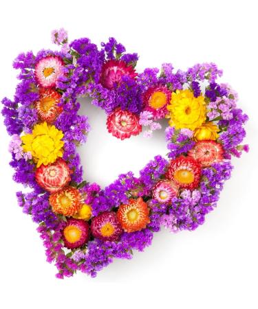 3 Pack Heart Shaped Wire Wreath Frame Set - 16 Inch Green Metal Rings for Valentine's Day, Weddings, and Home Decor - Buy Online on GoSupps.com