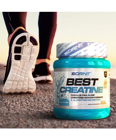 Best Creatine Monohydrate Powder 500g - Micronized & Tasteless Creatine | Premium Quality Supplement for Optimal Performance - Buy Online on GoSupps.com