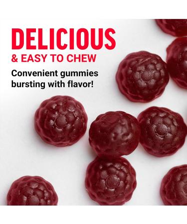 Force Factor Longjack Tongkat Ali Gummies Tongkat Ali for Men to Support Male Vitality and Drive 400mg Tongkat Ali with BioPerine Mixed Berry Lemonade 90 Gummies Longjack Tongkat Ali Gummies 90 Count (Pack of 1) - Buy Online on GoSupps.com