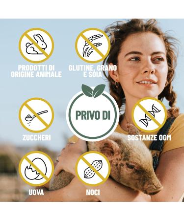 Vegan Multivitamins & Minerals with High Strength B12, D3, & K2 - 180 Tablets, 6 Months Supply - Buy Online on GoSupps.com