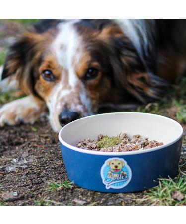 Sollis Digestive Herbs for Dogs | Natural Herbal Digestive Aid Powder | 100% Natural | Supports Gastrointestinal Health & Digestive Comfort | 100g - Buy Online on GoSupps.com