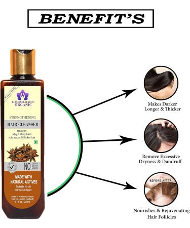 Blessfull Healing Organic Strengthening Hair Cleanser | Shampoo 200 ML (Packing May Vary) - Buy Online on GoSupps.com