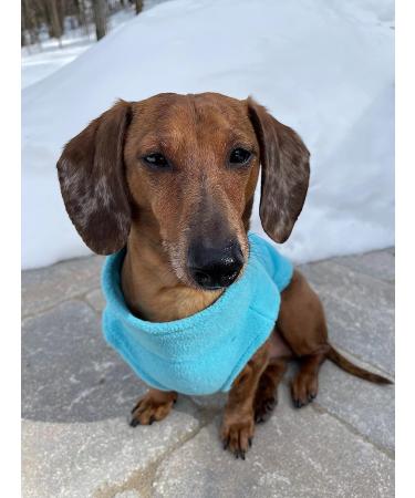 Gooby Zip Up Fleece Dog Sweater - Turquoise Medium - Warm Winter Dog Jacket - Buy Online on GoSupps.com