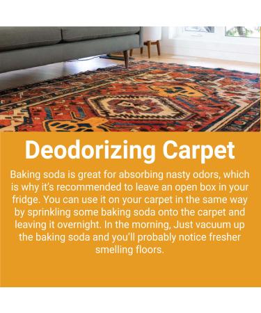 Arm & Hammer 1155 Fridge-N-Freezer Baking Soda 14 oz - Multi-Use Odor Eliminator - Buy Online on GoSupps.com