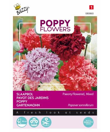 Buzzy Poppy Flowers Poppy Paeoniflorum Mixed