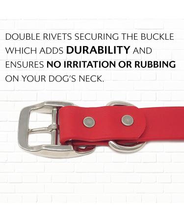 Regal Dog Waterproof Halfband Collar for Small Medium & Large Dogs - Red Adjustable Design for Puppies & Adults - Buy Online on GoSupps.com