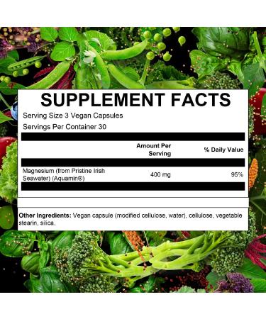 PlantFusion Vegan Magnesium 400mg Dietary Supplement- Muscle, Bone, Heart & Relaxation Support- 90 Vegan Capsules - Buy Online on GoSupps.com