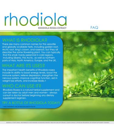 Rhodiola Rosea Supplement for Adrenal Support, Focus, Memory, and Energy - 60 Capsules | VH Nutrition - Buy Online on GoSupps.com