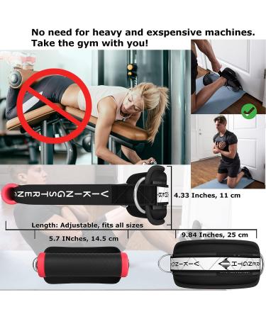 Vikingstrength VOL 2 Nordic Hamstring Curl with Long Straps - Home Glute & Hamstring Workout with Exercise Handles and Ankle Straps - Buy Online on GoSupps.com