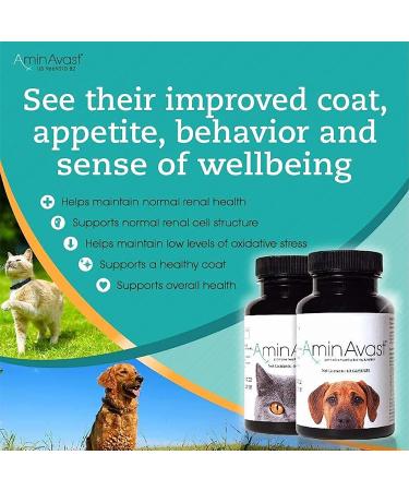 AminAvast Kidney Support Supplement for Cats and Dogs 300mg - Promotes Natural Kidney Function - 60 Sprinkle Capsules - Buy Online on GoSupps.com