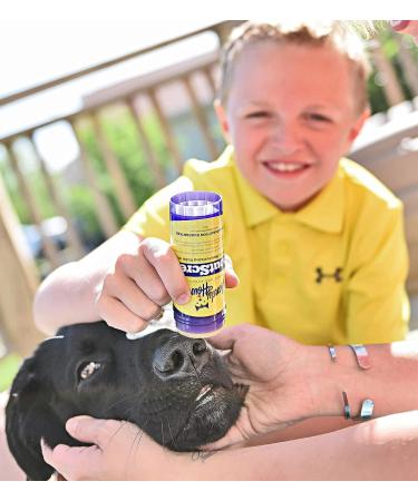 Handy Hound SnoutScreen - Organic Dog Nose & Paw Balm with Natural Sunscreen - Vet-Recommended - Made in USA - 2 oz - Buy Online on GoSupps.com