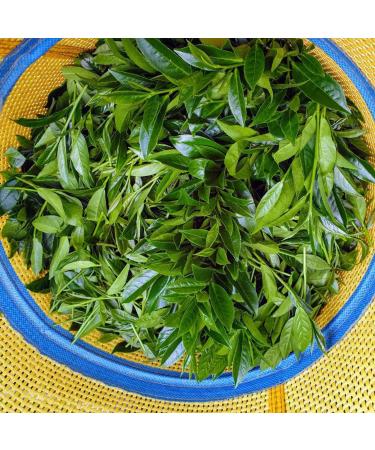 Taiwan unique tea Chin-Shin-Oolong Shanlinxi three-layer flat Light roasting 150g*4 - Buy Online on GoSupps.com