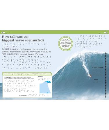 DK Braille It Can't Be True! Buy Internationally | Enhance Literacy & Enjoy Reading - Buy Online on GoSupps.com