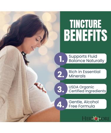 Herb Lore Organic Dandelion & Nettle Tincture - Liquid Dandelion Leaf & Stinging Nettle Leaf Extract Drops (4 fl oz) 4 Fl Oz (Pack of 1) - Buy Online on GoSupps.com