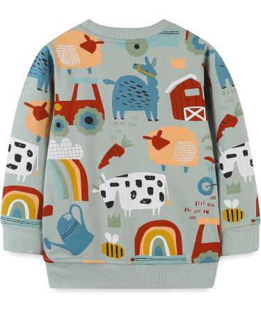 Girls Cotton Sweatshirt for Kids | Green Long Sleeve Pullover | Toddler Clothes | Age 3-4 Years - Buy Online on GoSupps.com