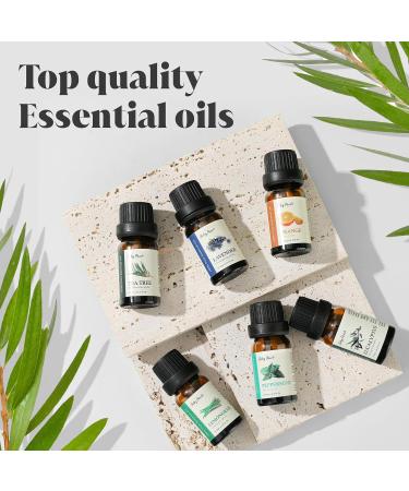 Top 6 Essential Oils Set for Aromatherapy - Eucalyptus Lavender Orange Peppermint Tea Tree (10ml) - Ideal for Diffusers Humidifiers Candle Making - Perfect Home Gift - Buy Online on GoSupps.com