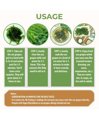 Kadosachi Dehydrated Sea Grapes 4.24 oz - Green Caviar Umibudo Seaweed | Organic Lato Seaweed for Skin & Immune System | 6 Pack Box - Buy Online on GoSupps.com