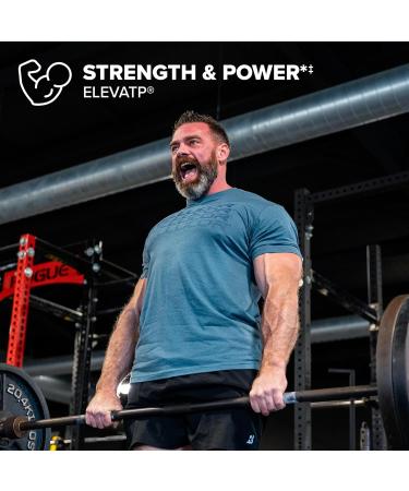 Buy Cellucor P6 Extreme | Muscle Growth & Strength Support Supplement | Natural Ingredients | 150 Caps - International Shipping Available - Buy Online on GoSupps.com