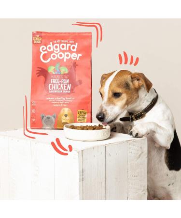 Edgard & Cooper Senior Dog Food Dry Food Grain Free Natural Food 2.5kg Fresh Chicken & Salmon Complete Healthy & Balanced Nutrition for Dogs of All Sizes - Buy Online on GoSupps.com
