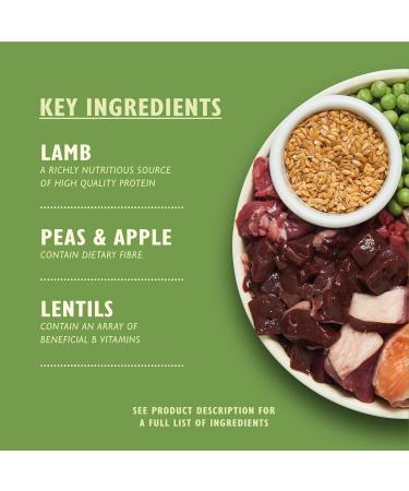 Lily's Kitchen Made with Natural Ingredients Adult Dry Dog Food Lamb Shepherd's Pie Balanced Recipe 12kg bag - Buy Online on GoSupps.com