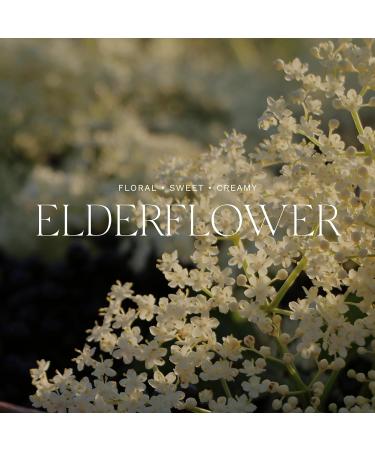 Buy Antica Farmacista Elderflower Body Lotion 10oz - Nourishing & Hydrating Moisturizer for All Skin Types - International Shipping Available - Buy Online on GoSupps.com