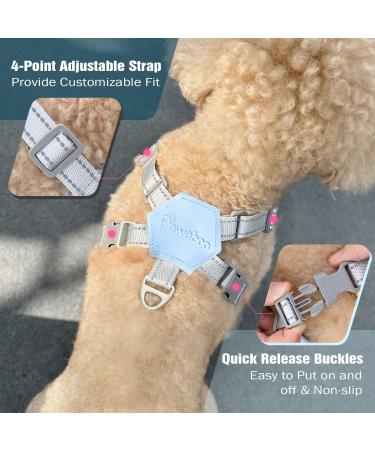 Pawaboo Dog Harness & Leash Set - Adjustable Anti Pull Chest Harness for Small & Medium Dogs - Breathable Vest (L Blue) - Buy Online on GoSupps.com