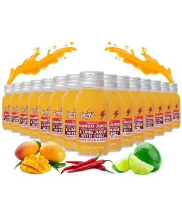 15PCS Feeju Mango Nectar Blend Shot 2 fl oz Mango Puree Grape Lime Juice with Chili and Real Ginger Root Juice Fortified with Vitamin C & B12 Daily Wellness Drink & Immunity Support