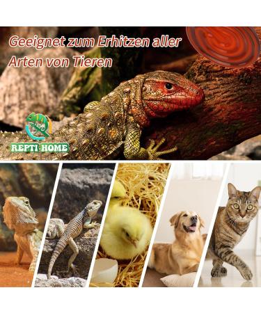 Repti Home 75W Ceramic Heat Radiator (2-Pack) - Ideal Reptile Heat Lamp Bulbs for Amphibians Pets Chickens Dogs & Cats - Buy Online on GoSupps.com