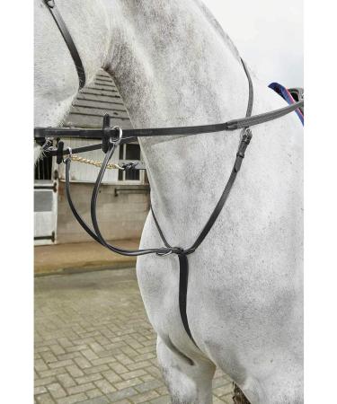 John Whitaker Lynton Running Martingale Havana Full - Buy Online on GoSupps.com
