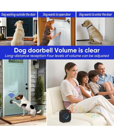 Buy Mypin Wireless Doorbell | Best International Shipping & Quality Satisfaction - Buy Online on GoSupps.com
