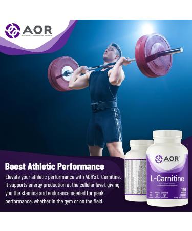 AOR - L-Carnitine 500mg 120 Capsules Pure L-Carnitine Tartrate Supports Energy Metabolism Muscle Recovery & Athletic Performance Promotes Fitness Goals L-Carnitine Capsules for Active Lifestyle - Buy Online on GoSupps.com