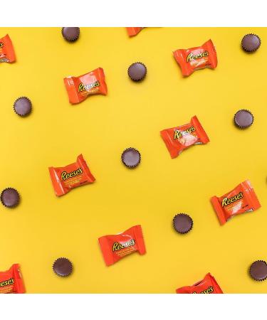 Hershey's & Reese's 95 Count Bulk Size Candy Individually Wrapped Chocolate Holiday Chocolate Candy Chocolate Candy to Share Chocolate Candy for Kids - Assorted Mini Bars Hershey's & Reese's 95 Count (Pack of 1) - Buy Online on GoSupps.com