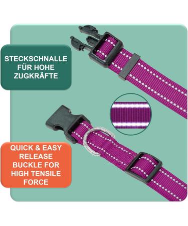 Buy Dey Premium Reflective Dog Collar - Adjustable Nylon for Small & Large Dogs - Multiple Colors & Sizes - Purple S (1.5 x 27-37 cm) - Durable & Stylish Cat & Puppy Neck Strap - Buy Online on GoSupps.com