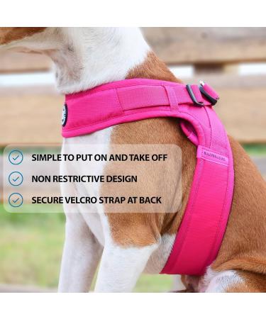 BullyBillows Boomerang Harness | Lightweight & Non-Restrictive Dog Harness | Easy Slip On & Off Design | Premium Quality with Velcro Strap | Carminerose M Medium - Buy Online on GoSupps.com