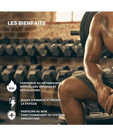 Active Burn - Extra Powerful - Metabolism - Energy - Garcinia Cambogia - Green Coffee - Nopal - Cola Nuts - 7 Vitamins & Minerals 120 Capsules - Buy Online on GoSupps.com