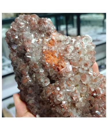 Crystal Cluster Natural Mushroom Calcite Quartz Crystal Specimen Ment Home Degaussing Decoration Gem Gift ningxiao (Size : 800-900g)