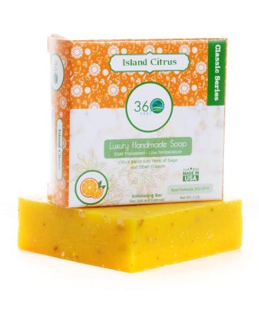 Island Citrus Handmade Men's Soap Bar - Oatmeal Scrub 5oz Castile Natural Soap Masculine Essential Oil Fragrance - Perfect for Anniversary & Wedding Gifts - Buy Online on GoSupps.com