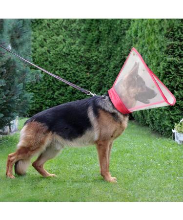Adjustable Recovery Cat Cone Dog Collar | Clear Padded E-Collar for Cats and Puppies - Pink - M Size - Buy Online on GoSupps.com