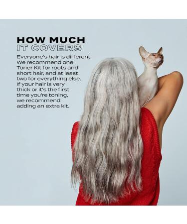 Buy BLEACH LONDON Fade To Grey Kit | Yellow Brass Remover & Color Depositor for Blonde & Post-Bleached Hair | Vegan Cruelty-Free Ammonia-Free - Buy Online on GoSupps.com
