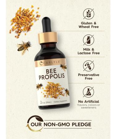 Carlyle Bee Propolis Tincture Drops | 2 Fl Oz | Liquid Extract | Non-GMO Gluten Free Supplement - Buy Online on GoSupps.com
